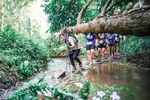 BIB: 
                            <button type="button" onclick="openModal(25515811)" class="btn btn-primary btn-sm float-right btn-popup" data-toggle="modal" data-target=".modal-high-quality">
                        <i class="fas fa-shopping-cart"></i> Add to Cart
                    </button>
                                            <button type="button" onclick="isThisMe(25515811, true)" class="btn btn-success btn-sm float-right btn-popup btn-isme hidden" data-toggle="tooltip" data-placement="bottom" title="นี่คือรูปของคุณใช่ไหม คลิกที่นี่เพื่อเอาเข้าอัลบั้ม">
                        <i class="fas fa-plus"></i> Add to album
                    </button>
                    <button type="button" onclick="isThisMe(25515811, false)" class="btn btn-warning btn-sm float-right btn-popup btn-isnotme hidden">
                        <i class="fas fa-ban"></i> Remove from album
                    </button>